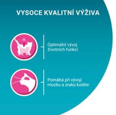 Purina ONE JUNIOR losos ve šťávě 26×85 g