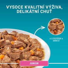 Purina ONE JUNIOR losos ve šťávě 26×85 g