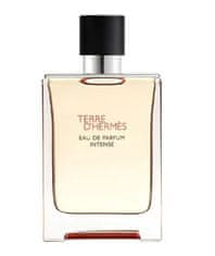 Hermès Terre D`Hermès Intense - EDP (plnitelná) 50 ml