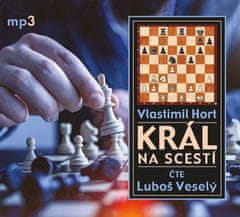 Hort Vlastimil: Král na scestí