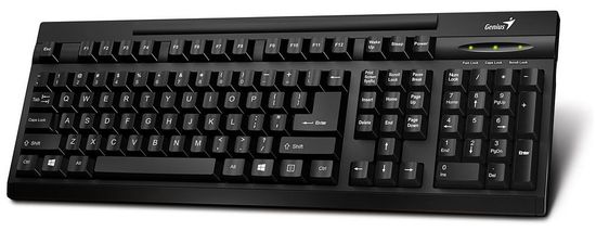 Genius KB-125, drátová, USB, černá, CZ+SK layout (31300723108) - použité