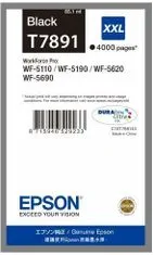 Epson Ink Cartridge XXL Black (C13T789140)