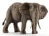 14761 Slon africký samice