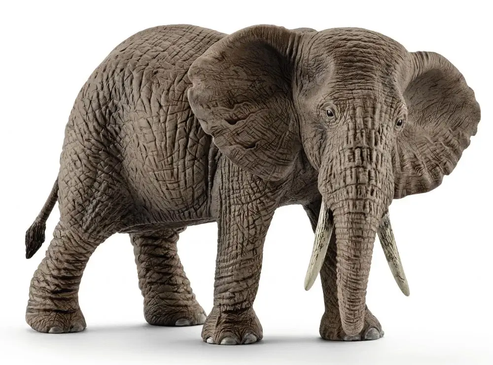 Schleich Slon africký samice 14761