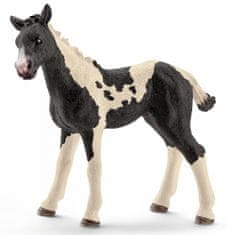 Schleich 13803 Hříbě Pinto