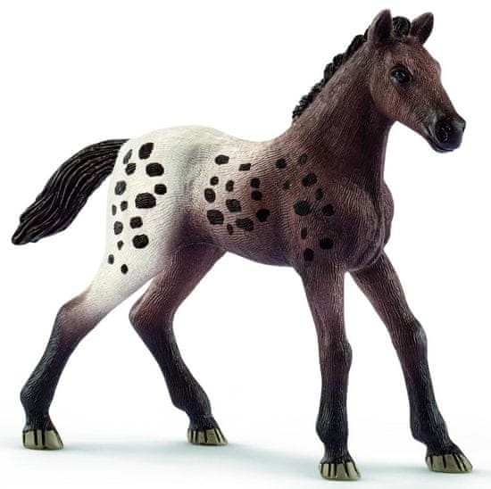 Schleich Appalooské hříbě 13862