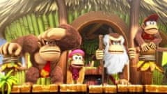 Nintendo Donkey Kong Country Freeze / Switch