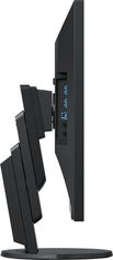 Eizo FlexScan EV2456-BK (EV2456-BK)