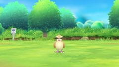 Nintendo igra Pokémon: Let’s Go, Eevee! (Switch) - datum izida 16.11.2018