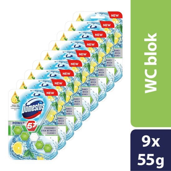 Domestos Power 5 Green Tea & Citrus WC blok 9 x 55 g