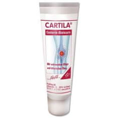 ProVista Cartila Gelenk Balsam 50 ml 