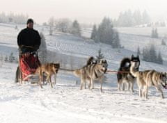 Allegria mushing pro děti Jesenicko