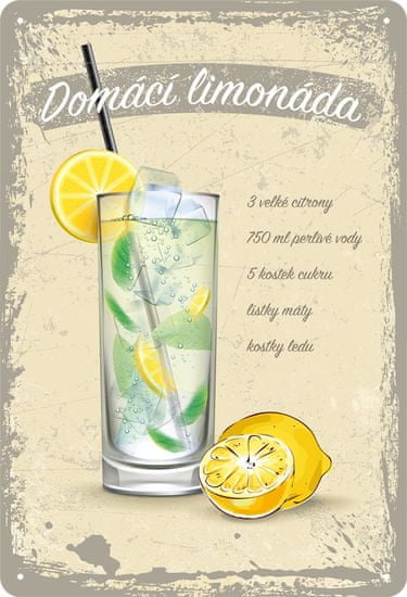 Postershop Plechová cedule: Domácí limonáda