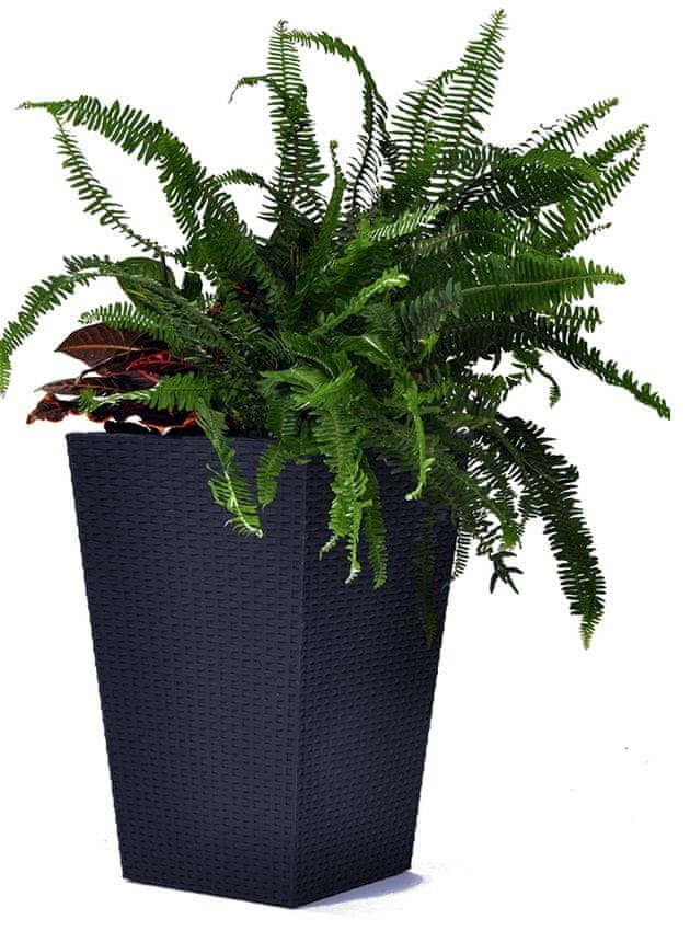 KETER Květináč RATTAN PLANTER L