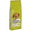 Purina Dog Chow Adult s kuřetem 14 kg