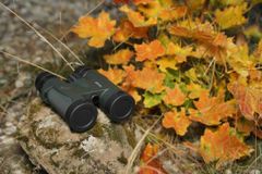 Focus Sport Optics Outdoor 8×32