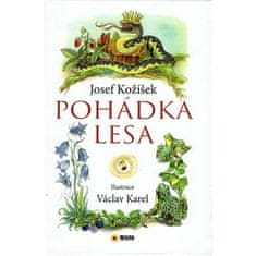 Josef Kožíšek: Pohádka lesa