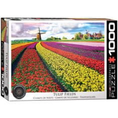 EuroGraphics Puzzle Tulip Fields Netherlands 1000 dílků