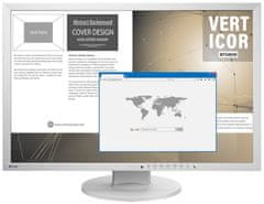 Eizo FlexScan EV2430-GY (EV2430-GY)