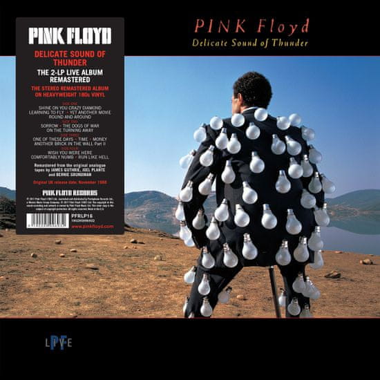 Pink Floyd: Delicate Sound Of Thunder (2x LP)