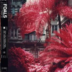 Foals: Everything Not Saved Will Be Lost Part 1 (2019)