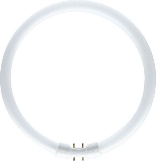 Philips Philips kruhová MASTER TL5 Circular 60W/840 2GX13