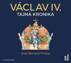 Prokop Josef Bernard: Václav IV.