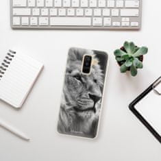 iSaprio Silikonové pouzdro - Lion 10 pro Samsung Galaxy A6 plus