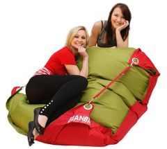 Beanbag Sedací pytel 189x140 duo scarlet rose - green frog