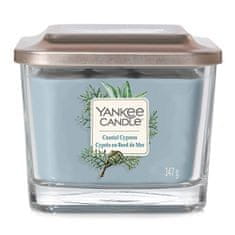 Yankee Candle Svíčka ve skleněné váze , Pobřežní cypřiš, 347 g