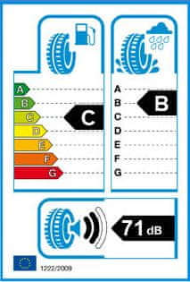 Minerva 245/45R17 99W MINERVA F205