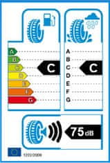 Marshal 295/35R21 107V MARSHAL WS71 XL