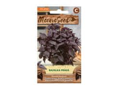 MORAVOSEED Bazalka pravá červená