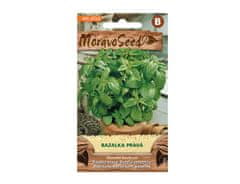 MORAVOSEED Bazalka pravá zelená