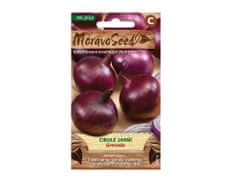 MORAVOSEED Cibule jarní GRENADA červená