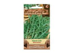 MORAVOSEED Roketa setá WILD ROCKET