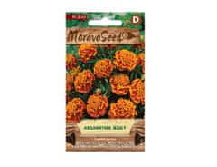 MORAVOSEED Aksamitník rozkladitý plnokvětý oranžovo-hnědý