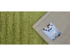 monoCarpet Kusový koberec Efor Shaggy 1903 Green 80x150