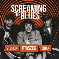 Ptaszek Matěj, Jan Stehlík, Jan Čihák: Screaming The Blues