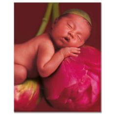 Anne Geddes Kniha Mých Prvních Pět Let, Flower X-Large