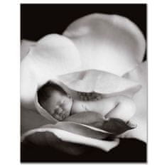 Anne Geddes Kniha Mých Prvních Pět Let, Flower X-Large