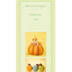 Anne Geddes Kniha Mých Prvních Pět Let, tři žaludy