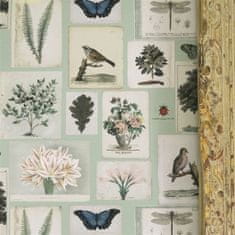 JOHN DERIAN Tapeta FLORA AND FAUNA PARCHMENT, kolekce PICTURE BOOK PAPERS