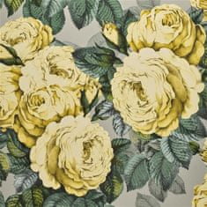 JOHN DERIAN Tapeta THE ROSE MIMOSA, kolekce PICTURE BOOK PAPERS