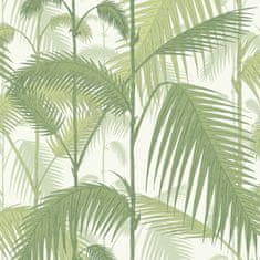 Cole & Son Tapeta PALM JUNGLE 1001, kolekce CONTEMPORARY RESTYLED