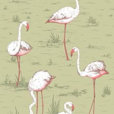 Cole & Son Tapeta FLAMINGOS 11038, kolekce ICONS