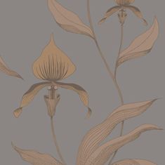 Cole & Son Tapeta ORCHID 10056, kolekce CONTEMPORARY RESTYLED