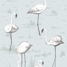 Cole & Son Tapeta FLAMINGOS 8047, kolekce CONTEMPORARY RESTYLED