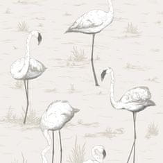 Cole & Son Tapeta FLAMINGOS 8046, kolekce CONTEMPORARY RESTYLED