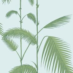 Cole & Son Tapeta PALM LEAVES 2010, kolekce NEW CONTEMPORARY